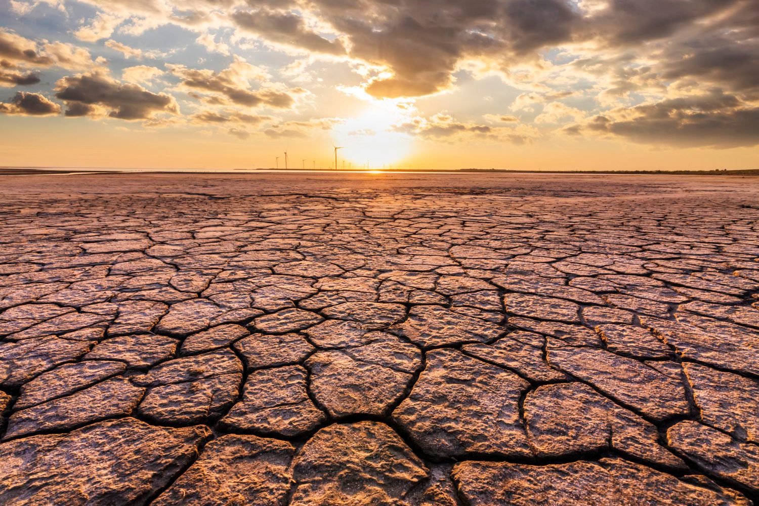 desert-with-cracked-ground-sunset-ecological-concept-scaled